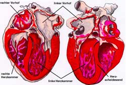 heil-und-kunst-heilpraktikerausbildung-termine
